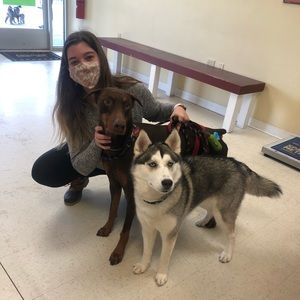 Meet your Posher, Daria